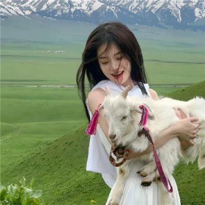 折纸回声特别篇